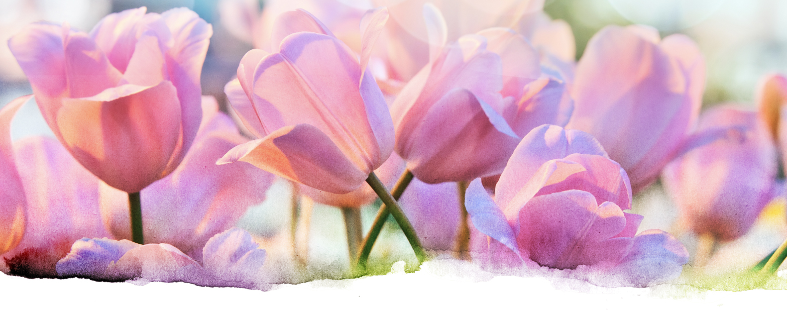 APPLICATION Valenti Country Estates Apartments